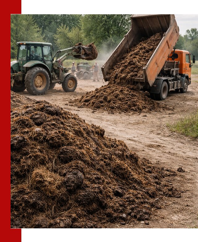 Доставка навоза самосвалами в Дмитрах для сельхозпотребностей