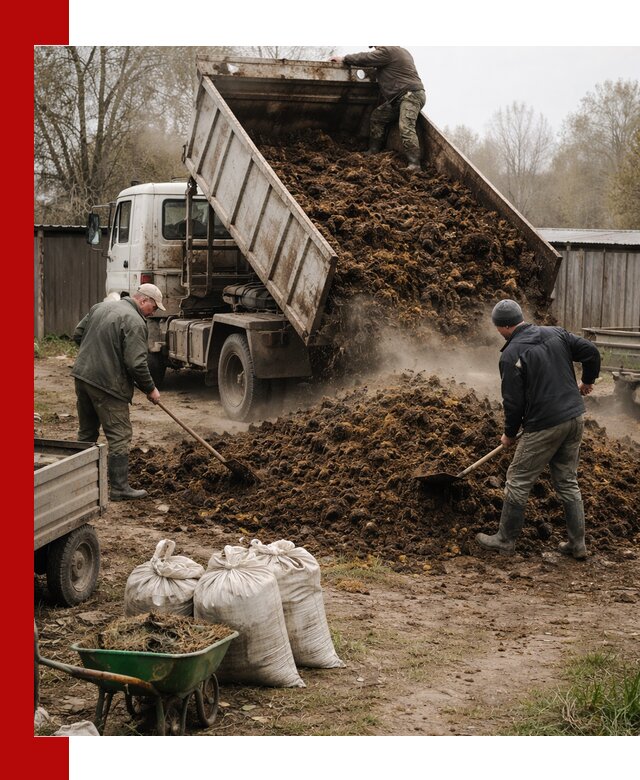 Доставка коровьего навоза самосвалом в Дмитрах